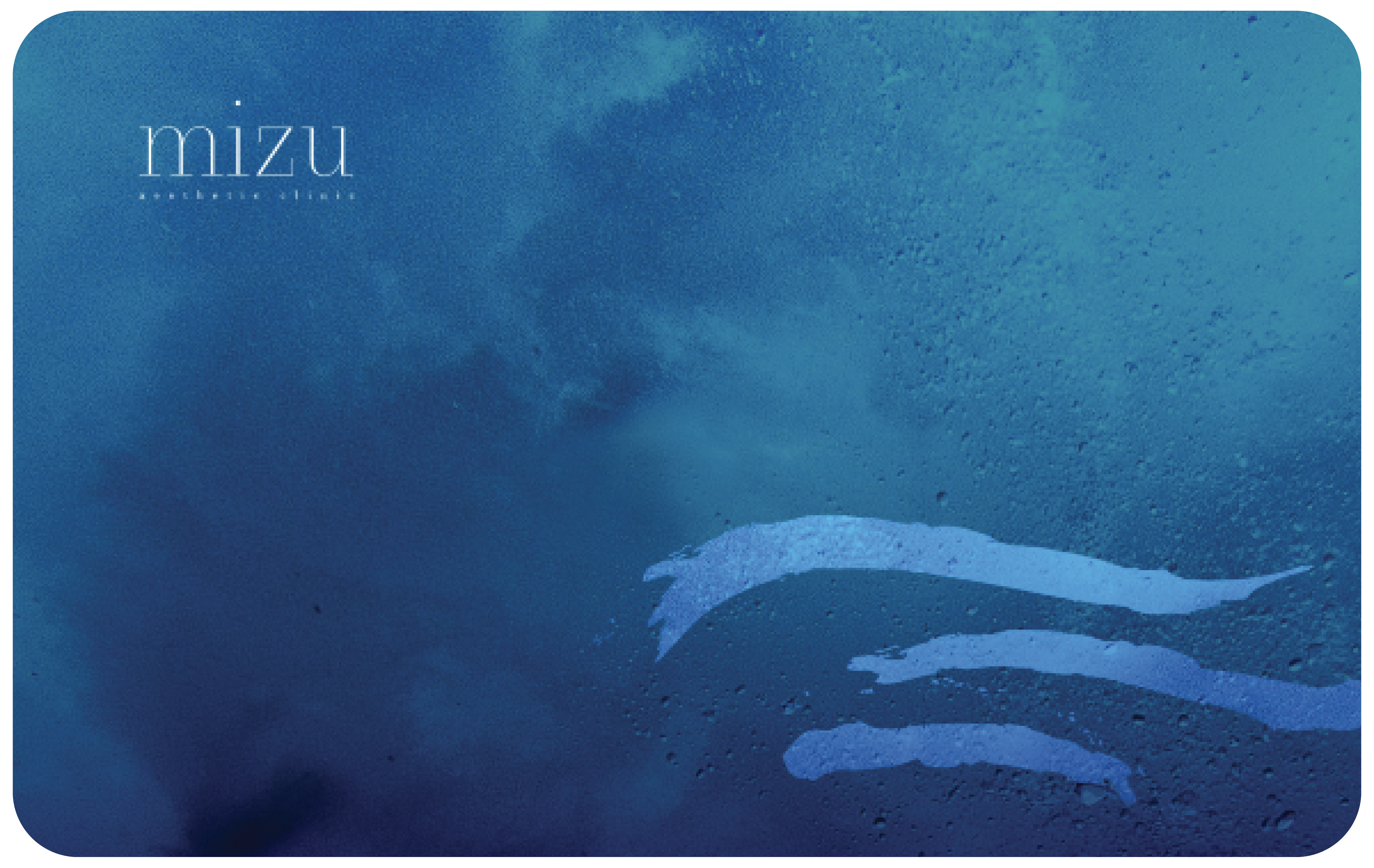 Mizu_Member Card